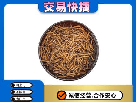 海晏县回收散虫草